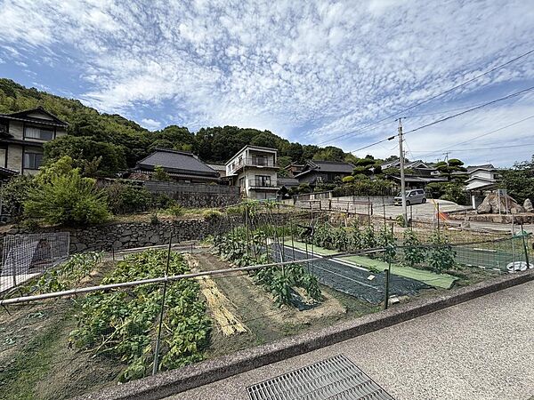 生き生きとした緑が広がる畑。日当たりが良く、しっかりと手入れされています。