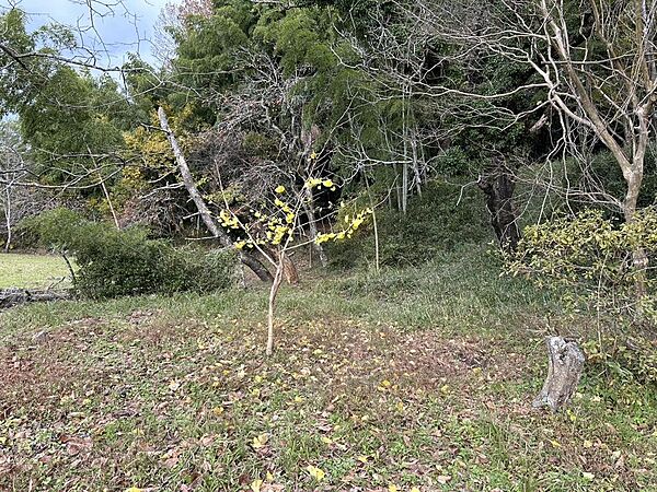 物件ID「334000263448」の写真