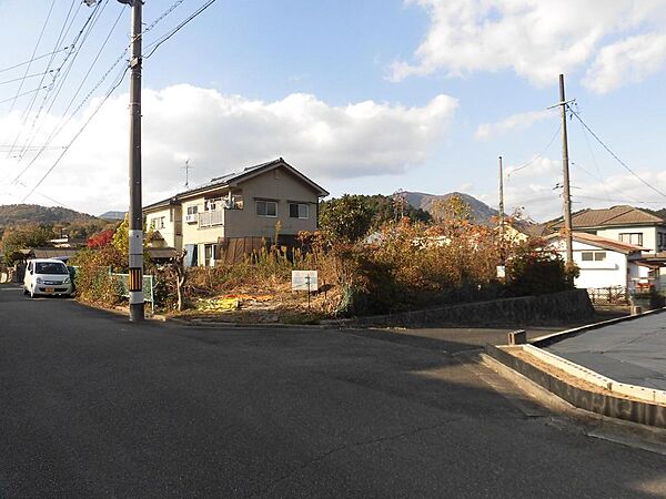 外観：334000239063