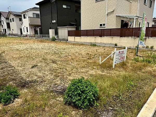 南側から撮った写真です