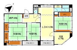 岡野ビル 4SLDKの間取図画像