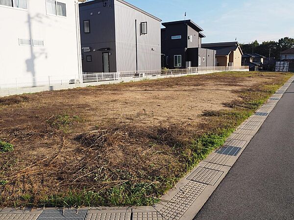 現地です。