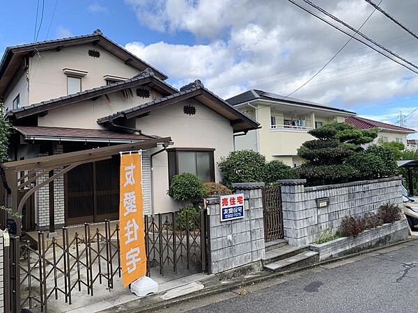 外観：334000244702