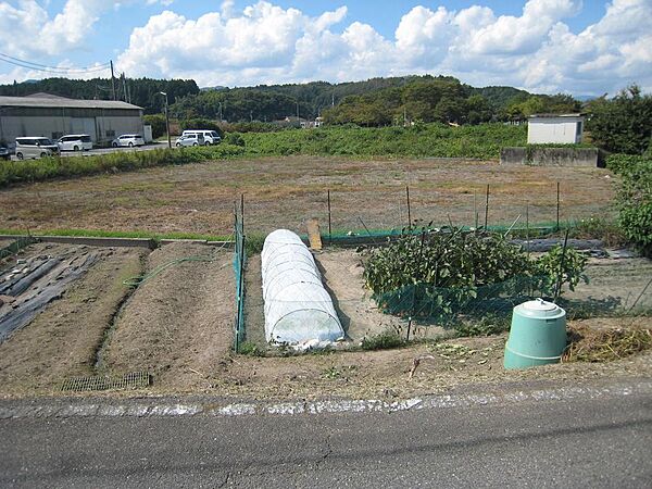 その他画像
