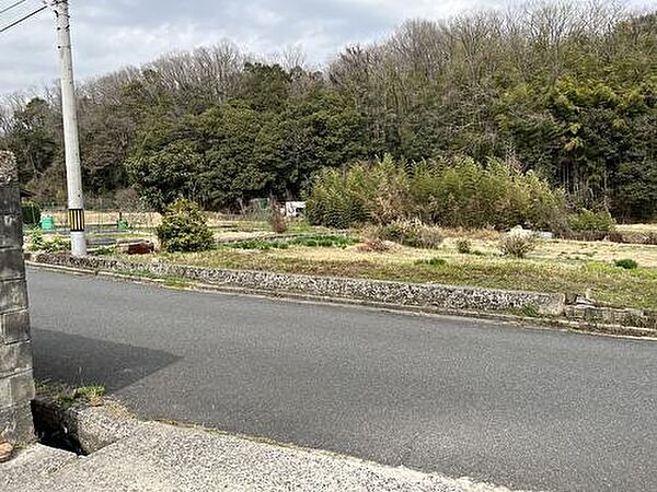 東側の道は特定通路(基準1)の農道(幅員5ｍ・宅地部の接道が30ｍ)