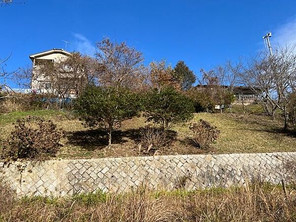 南側裏傾斜地の状況