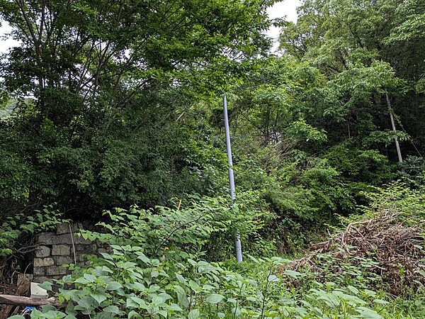 宅地（現況：山林）