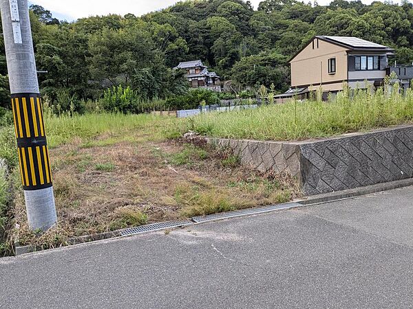 外観：334000264637