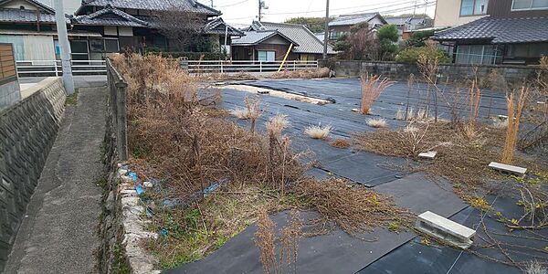 その他画像