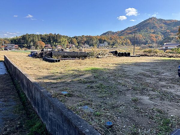 外観：334000239022