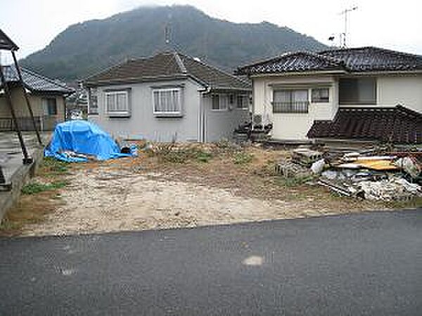 外観：334000264887