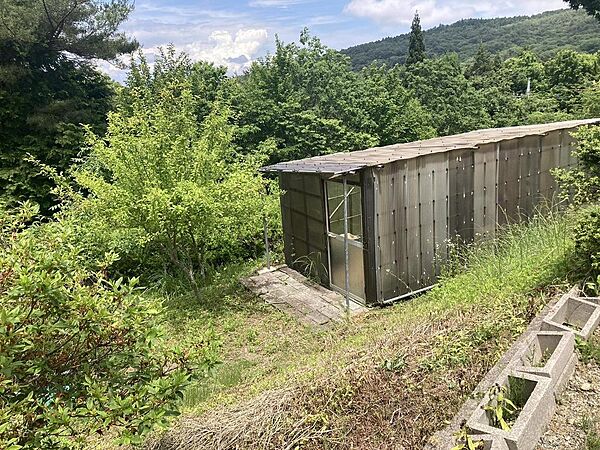 その他画像