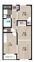 森信マンション 3DKの間取図画像