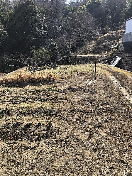 高台で水害に強い！