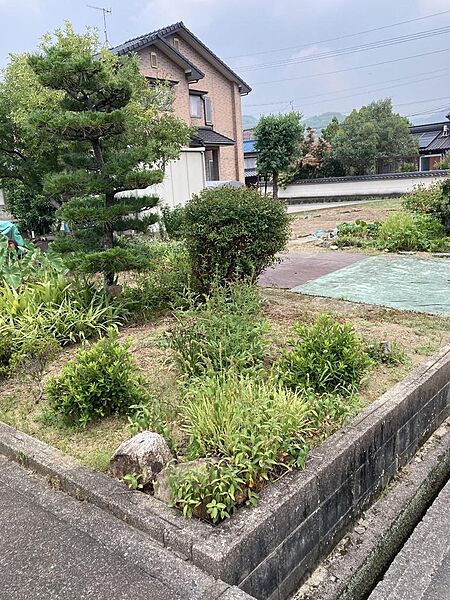 南側より