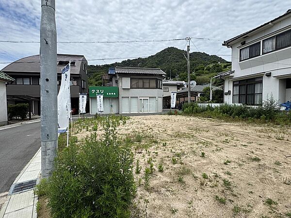 外観：334000261668