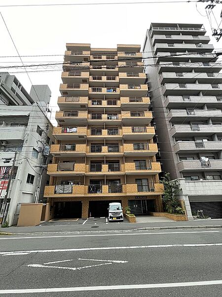 外観：334000274368