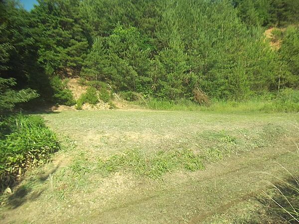 物件（奥の広場）と進入路（手前）