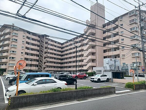 外観：334000272067