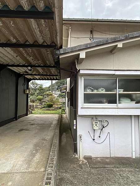 東側境界の様子