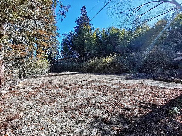 外観：334000237043