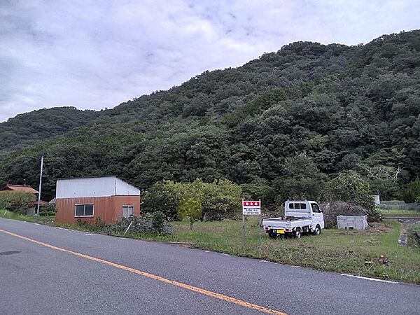 外観：334000274155