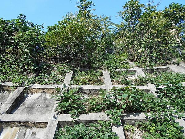 敷地面積561m2（169.7坪）
