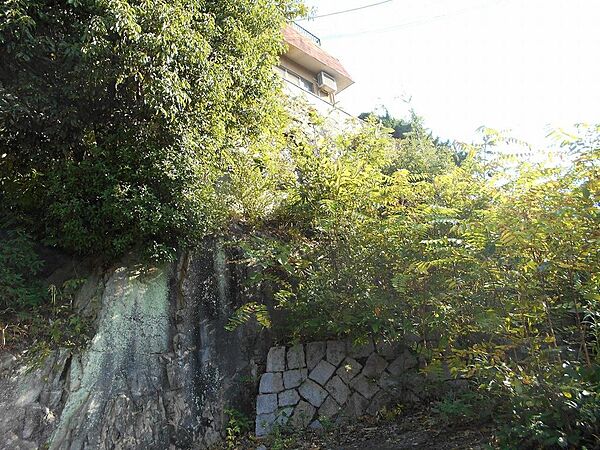 敷地面積561m2（169.7坪）