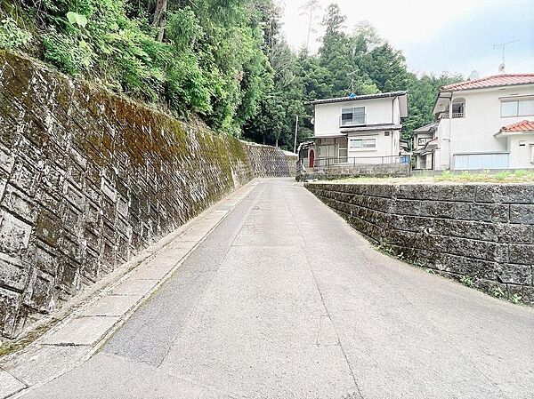 閑静な住宅地で静かな前面道路です。