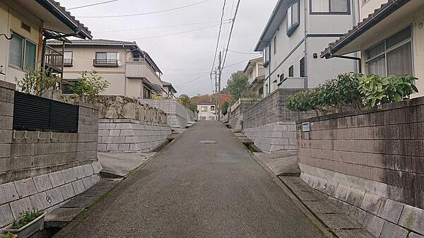 交通量の少ない静かな前面道路です