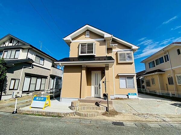 外観：334000239888