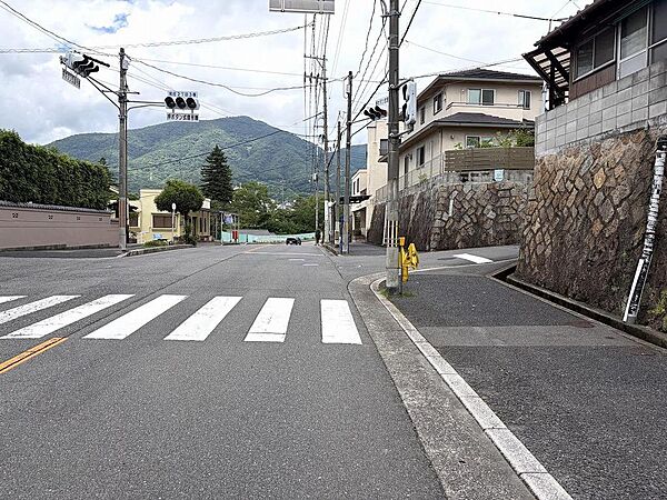 綺麗に舗装された前面道路です。バス停すぐそばでお出かけもしやすい立地です。