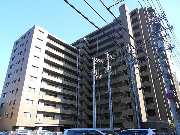 外観：334000272276