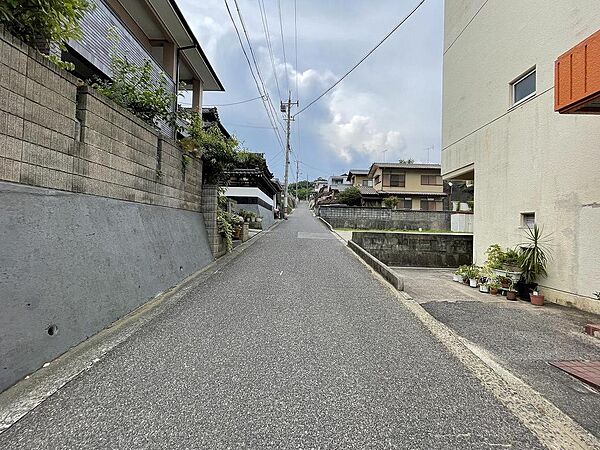 交通量の少ない静かな前面道路です。
