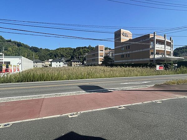 外観：334000263128