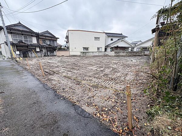 撮影：2024年12月