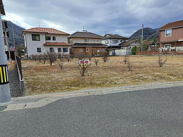 外観：334000236647