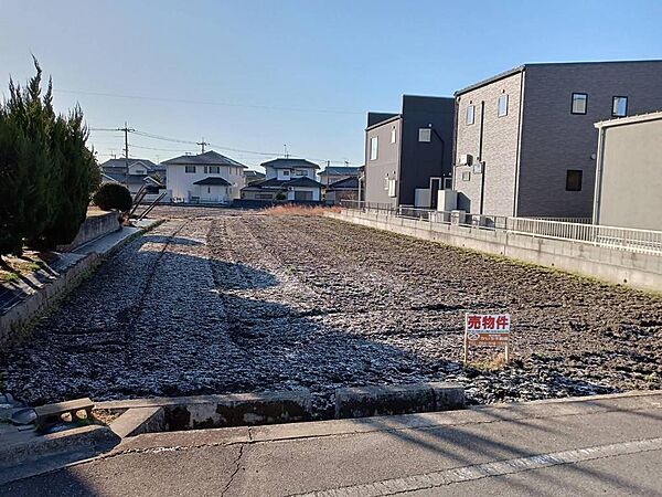 外観：334000224929