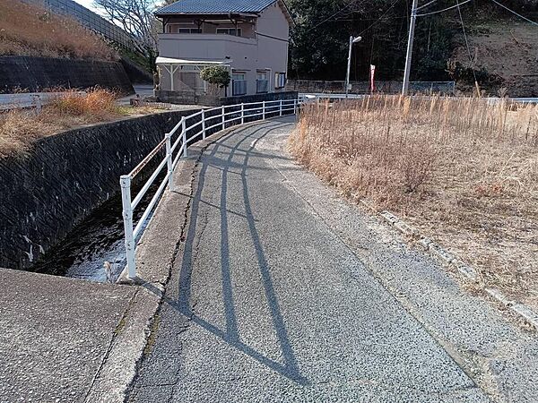 南側道路
