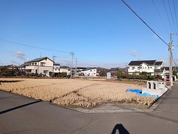 外観：334000274653