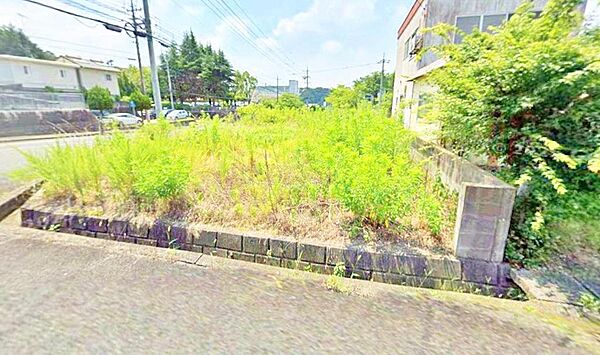 外観：334000238539