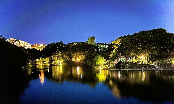 夜の龍潭池