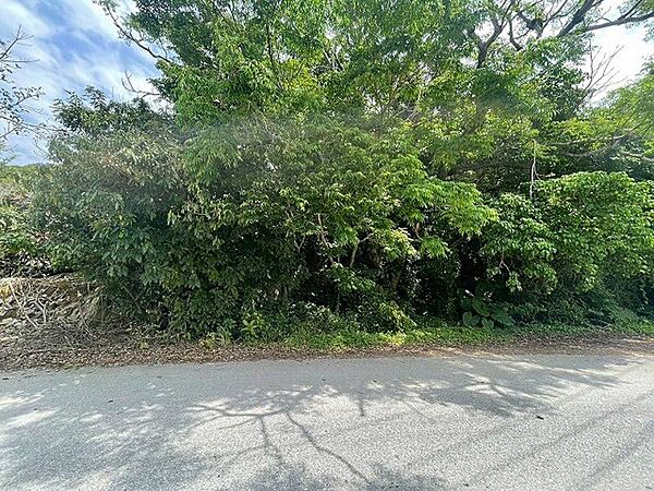 外観：347000060560