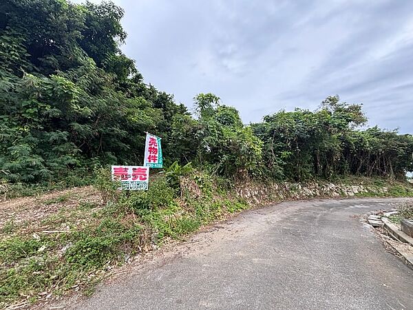 外観：347000031811