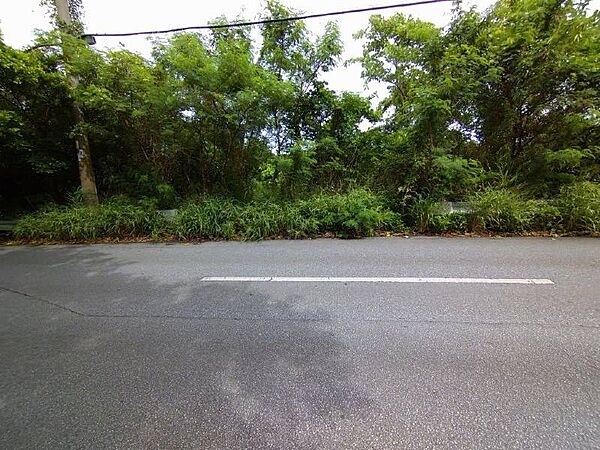 外観：347000032751