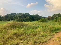 伊差川売地の土地画像