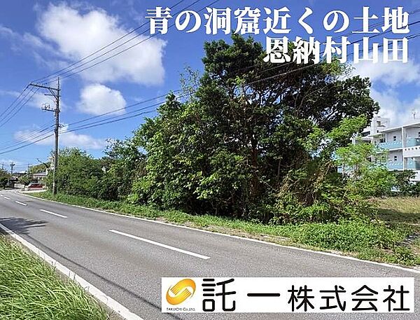 外観：347000087250
