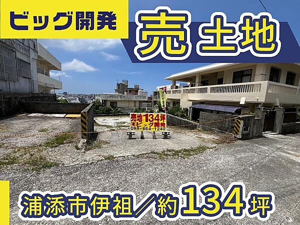 外観：347000077144