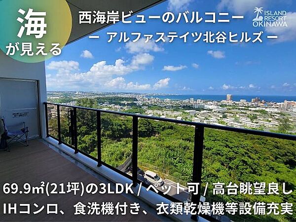 外観：347000075627
