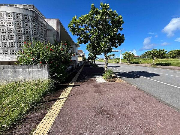 北西側歩道／南西方向を撮影